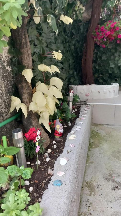 Apartment Cattaro Magico エクステリア 写真