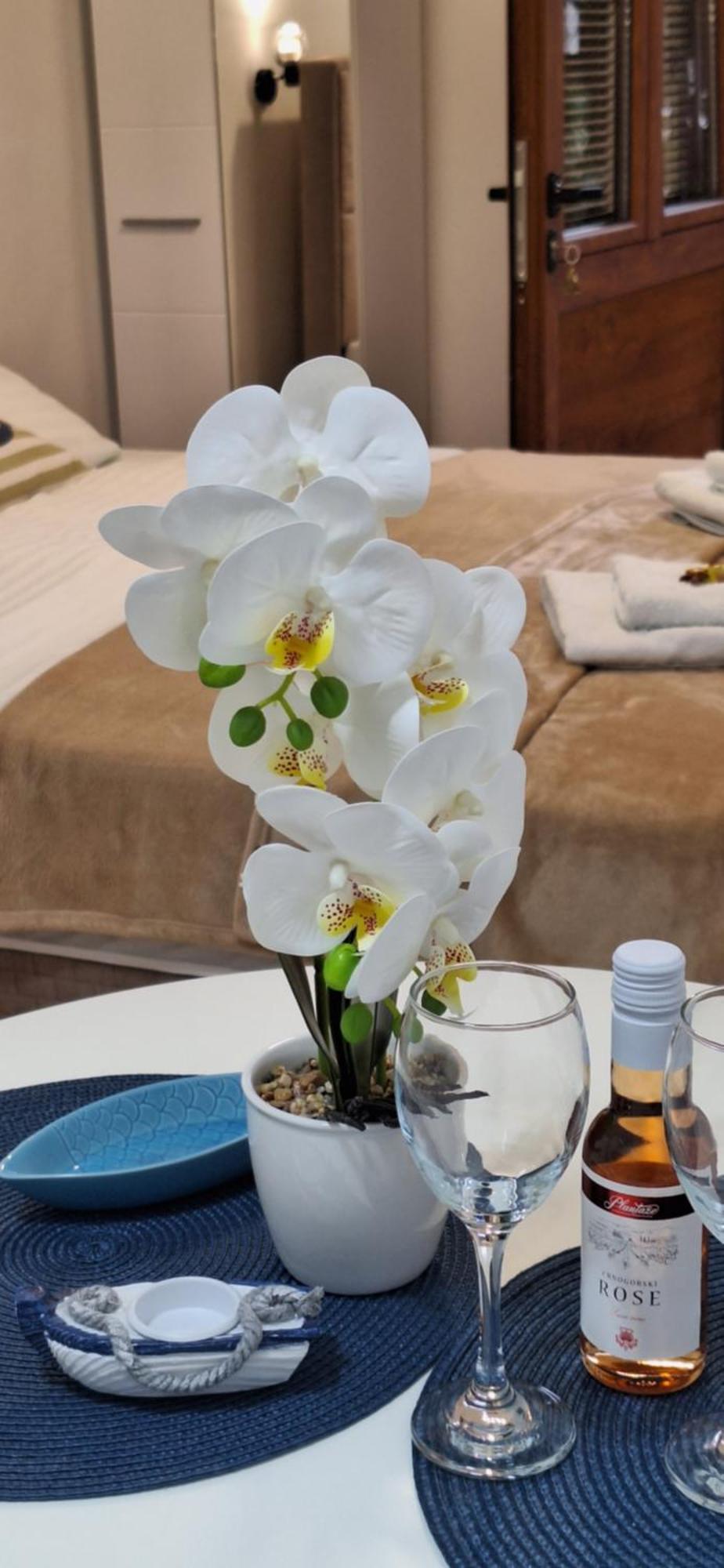 Apartment Cattaro Magico エクステリア 写真